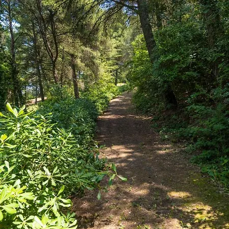 Casale Nel Bosco Semesterbostad