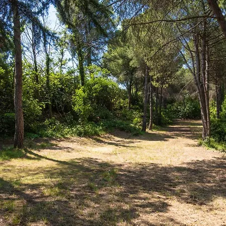 Дом отдыха Casale Nel Bosco Сенигаллия